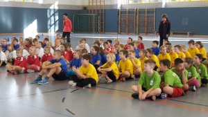 Zweifelderball 2